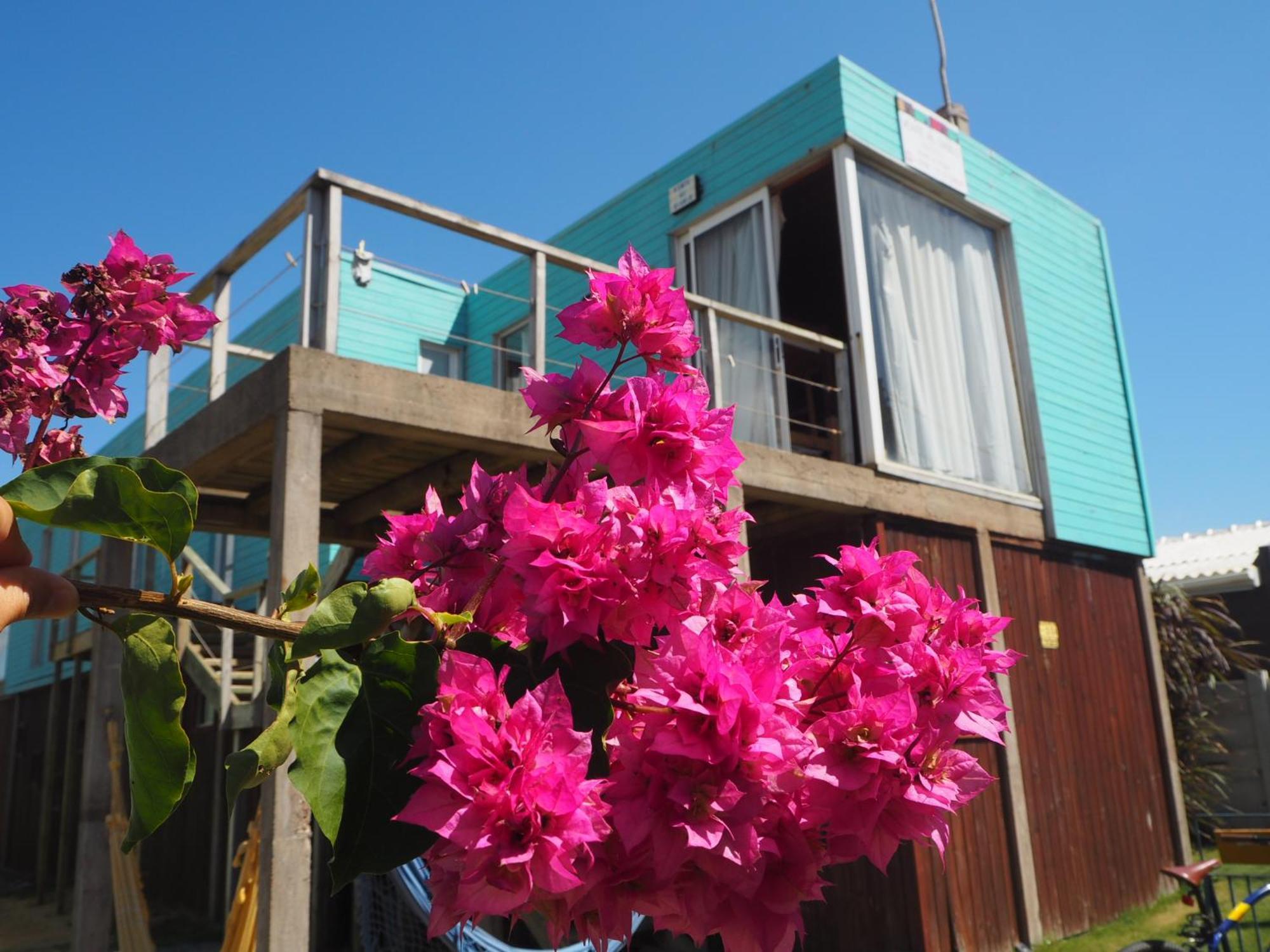 Hostel Vente al Diablo Punta del Diablo Exterior foto